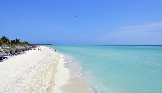 Playa Sol Cayo Guillermo. Kite Surf