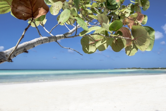 playa de Meliá Jardines del Rey