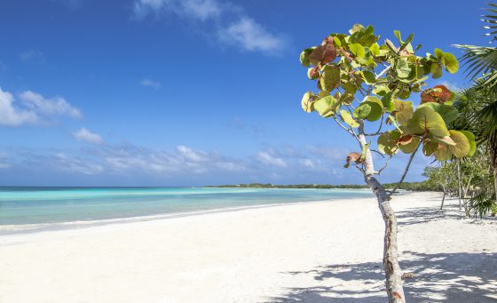 playa de Meliá Jardines del Rey