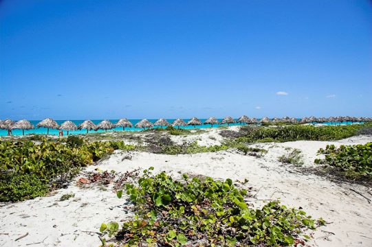 Meliá las Dunas,     Cayo Santa María