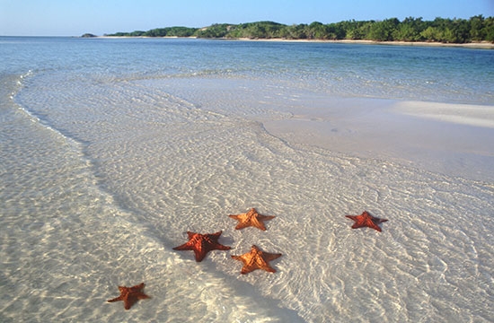 Cayo Coco,     Jardines del Rey 