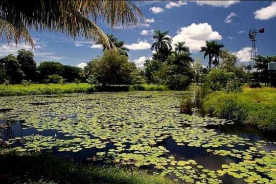 Ciénaga de Zapata 