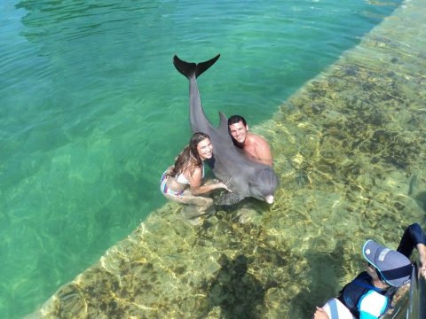 Bath with dolphins in Cayo Santa María