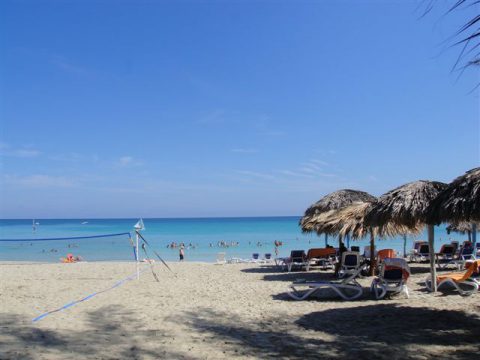 Playa del Sol Palmeras