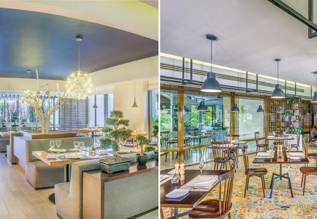 Dos restaurantes en Meliá Habana alcanzan la categoría de 5 tenedores