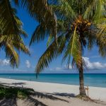 Un plan diferente: ¿naturaleza o playa en La Habana?