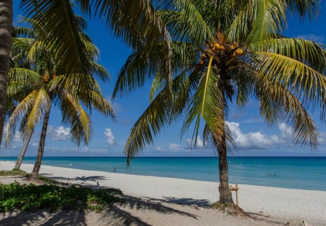 Un plan diferente: ¿naturaleza o playa en La Habana?