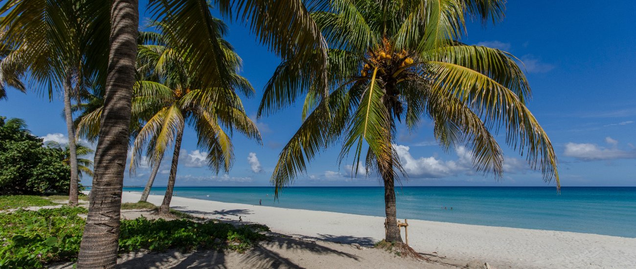 A different kind of holiday: nature or the beach in Havana?