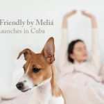 Pet Friendly by Meliá Launches in Cuba