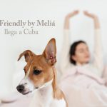 Tu mejor amigo es bienvenido: Pet Friendly by Meliá llega a Cuba