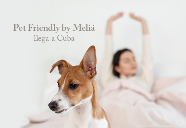 Tu mejor amigo es bienvenido: Pet Friendly by Meliá llega a Cuba